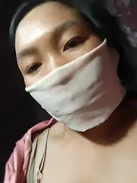 Hiha-nn webcam