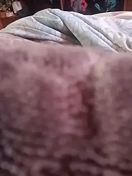 WiseDi
