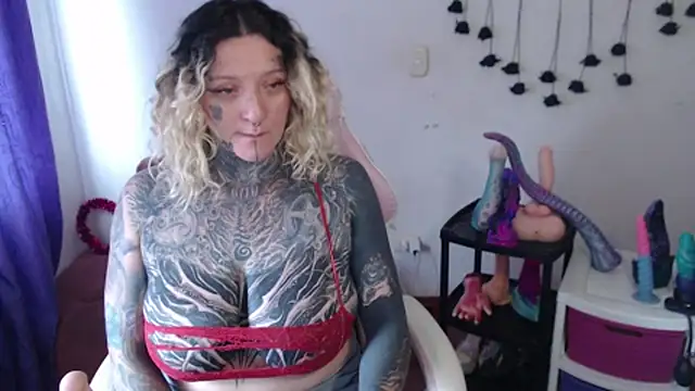 SLOPPYTITSS webcam