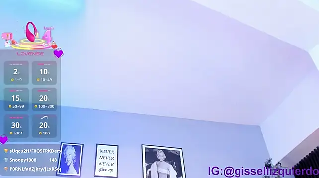 Liincostelloo webcam