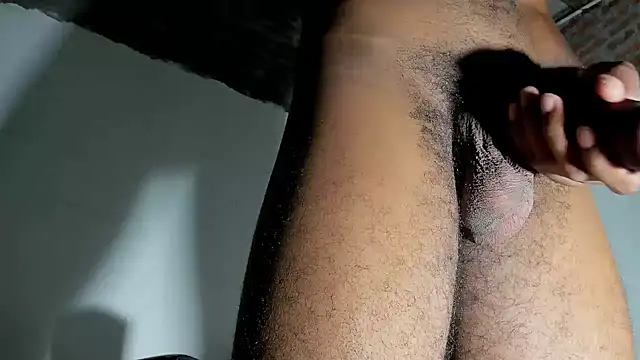 blaze_panther webcam