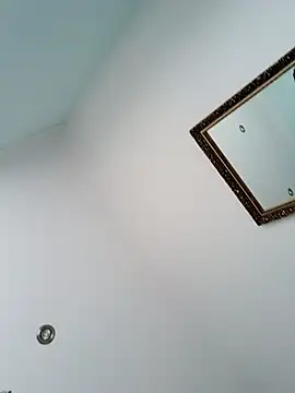 MAX_BBC webcam