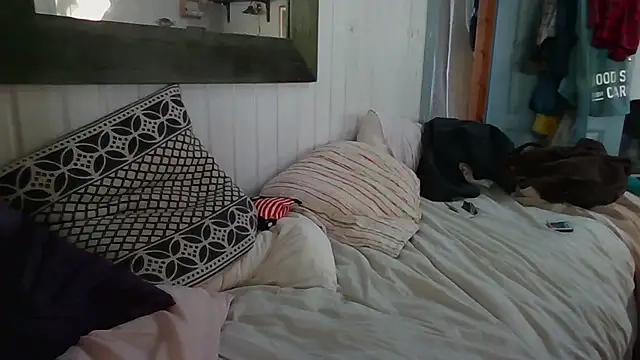 Stock-Holmes webcam