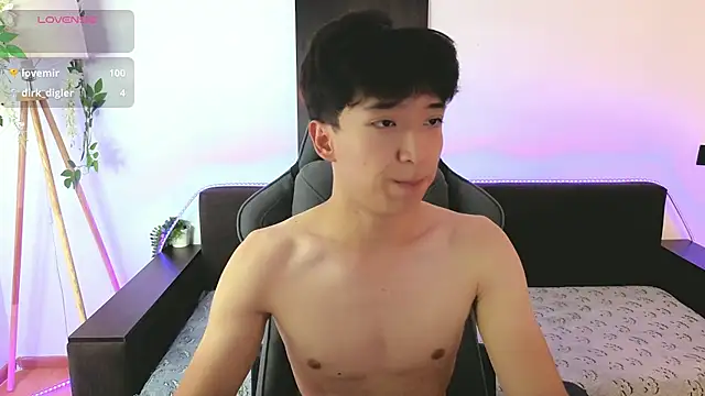 DianInav webcam