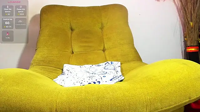 DarkTitanX webcam