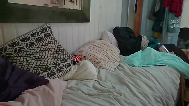 Stock-Holmes webcam