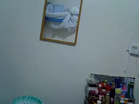 browndolly12 webcam