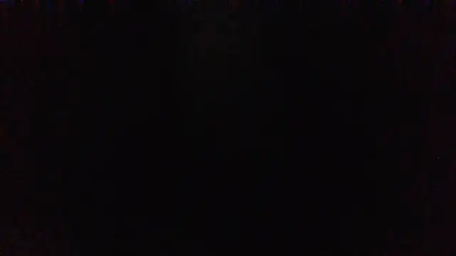panda_06200 webcam