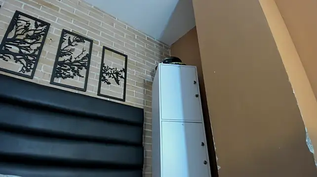 Fer_florez webcam