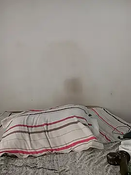 Missvixen81 webcam