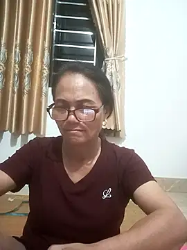 Vieekee webcam