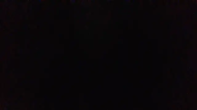 panda_06200 webcam