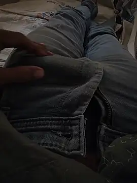 jp8094 webcam