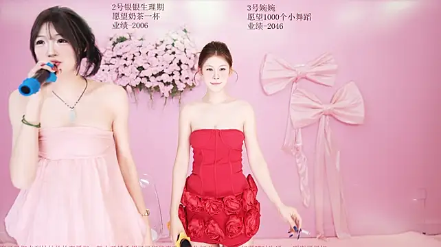 YY-8888 webcam