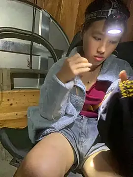 hoa_mai webcam