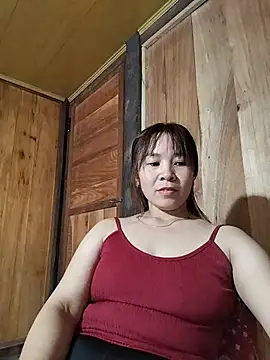 Biva11 webcam