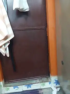 Manjudear webcam