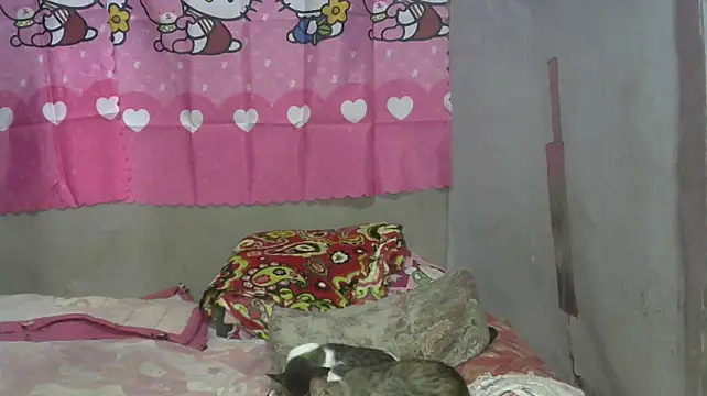 Hellokiffy webcam