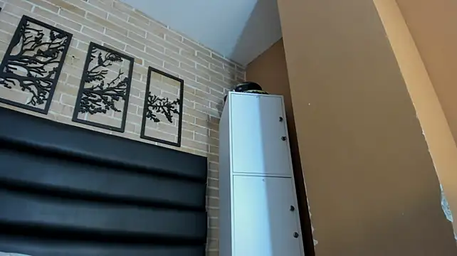 Fer_florez webcam
