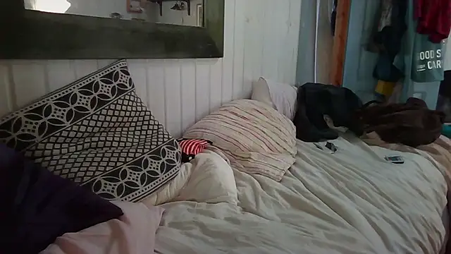 Stock-Holmes webcam