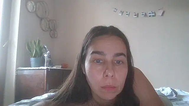 Vanelleda webcam
