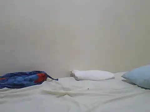 Swt_pie webcam