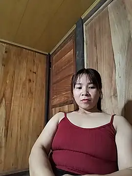 Biva11 webcam