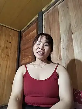 Biva11 webcam
