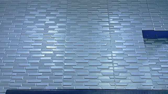 SeraphynLuxora webcam