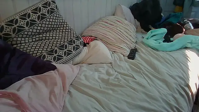 Stock-Holmes webcam