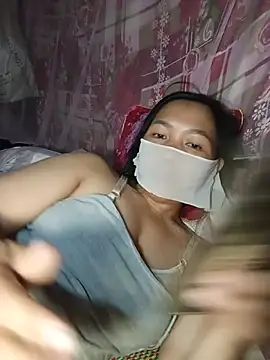 Hiha-nn webcam