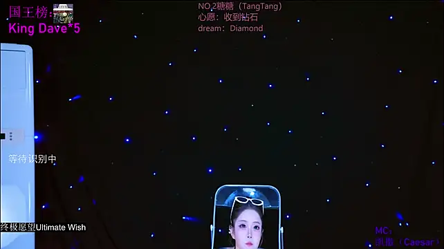 CCTW-100 webcam