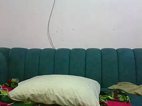 shugabaibe webcam