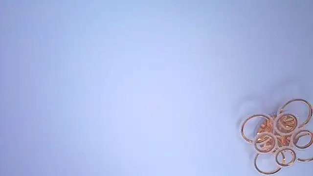 PerryKitty webcam