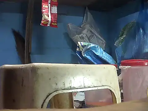 Precumking1 webcam