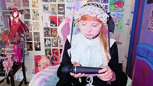usagi_sasagi webcam