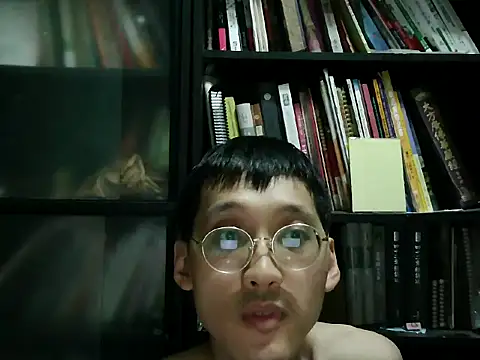 Lv8763 webcam