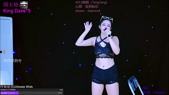 CCTW-100 webcam
