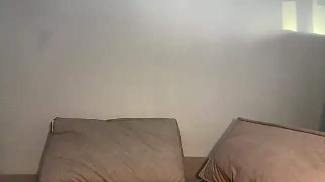 TalorSprint webcam