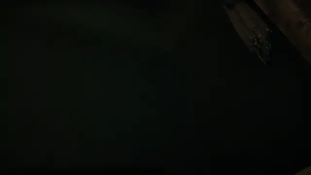 icebergslim281 webcam