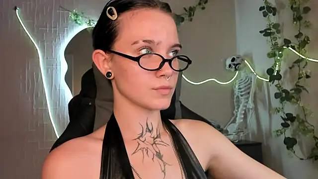 Elastikisss webcam