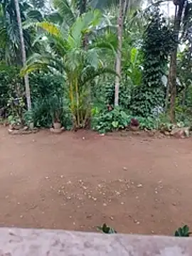 kavishka200112
