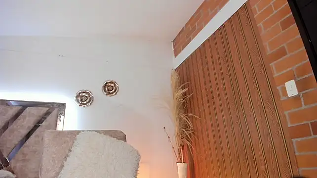 AGATHAA_WHITE webcam