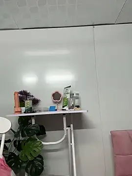 Nana-19 webcam