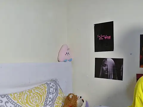 Aria_ah webcam
