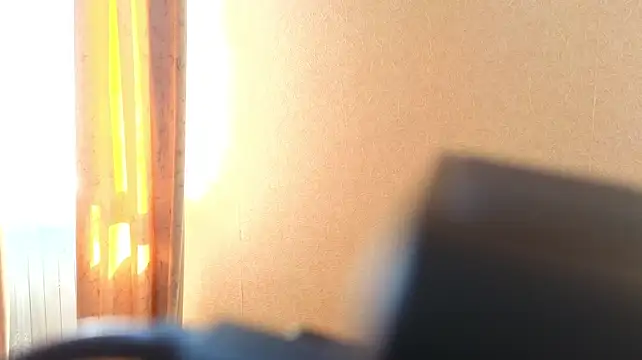 Sandra_Snowflake webcam