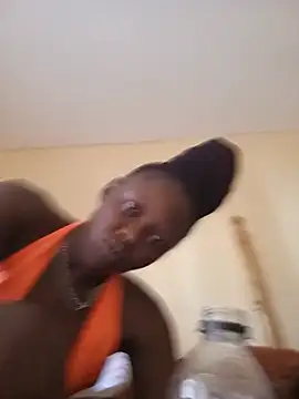 CRIBANN webcam