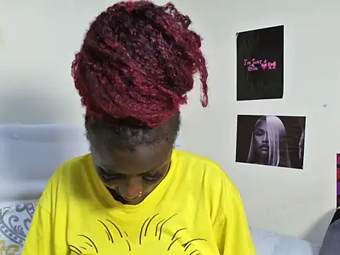 Aria_ah webcam