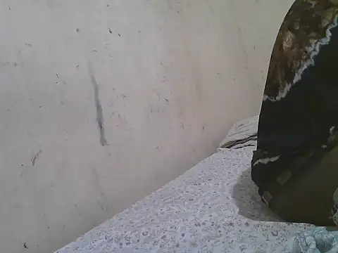 FOXY-DOLLY webcam