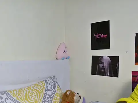 Aria_ah webcam